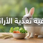 أرنب أبيض أمام وعاء خضروات طازجة وتبن مع نص كيفية تغذية الأرانب يوضح أساسيات التغذية الصحية للأرانب