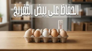 بيض تفريخ مخصب مرتب في صينية كرتونية على طاولة خشبية مع ميزان حرارة في الخلفية - الحفاظ على بيض التفريخ