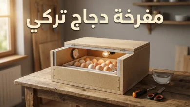مفرخة دجاج تركي منزلية الصنع مفتوحة الغطاء تظهر بداخلها البيض ومصباح التدفئة ومقياس الحرارة على طاولة خشبية مع أدوات التصنيع