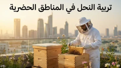 نحّال يرتدي بدلة حماية بيضاء يرعى خلايا نحل على سطح بناية في مدينة حضرية مع نص تربية النحل في المناطق الحضرية