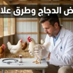 طبيب بيطري يفحص دجاجة داخل حظيرة نظيفة مع أدوات فحص بيطرية - غلاف مقالة أمراض الدجاج وطرق علاجها