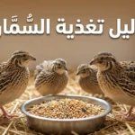 غلاف دليل تغذية السُّمَّان يُظهر مجموعة من طيور الفري أمام وعاء أعلاف في بيئة تربية طبيعية مع عنوان المقالة بخط عربي بارز