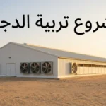 عنبر دواجن تجاري حديث في بيئة صحراوية عربية مع عنوان مشروع تربية الدجاج