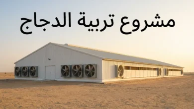 عنبر دواجن تجاري حديث في بيئة صحراوية عربية مع عنوان مشروع تربية الدجاج