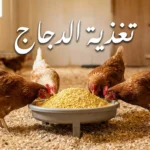 مجموعة دجاجات بالغة بألوان بنية وبيضاء تأكل من معلفة دائرية ممتلئة بالعلف داخل حظيرة نظيفة مع عبارة تغذية الدجاج