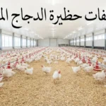 صورة غلاف تُظهر عنبر دواجن حديث من الداخل مع دجاج أبيض موزع بانتظام ومعالف ومشارب وإضاءة LED ونص عربي يقول مواصفات حظيرة الدجاج المثالية