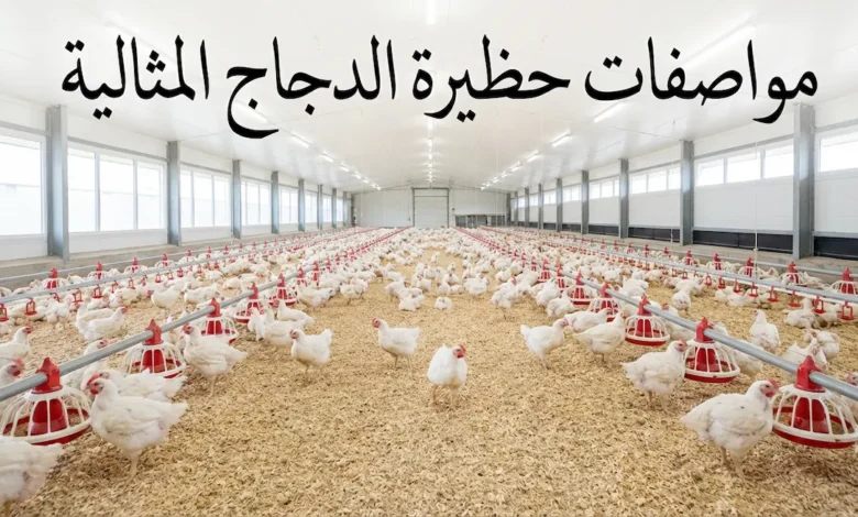 صورة غلاف تُظهر عنبر دواجن حديث من الداخل مع دجاج أبيض موزع بانتظام ومعالف ومشارب وإضاءة LED ونص عربي يقول مواصفات حظيرة الدجاج المثالية