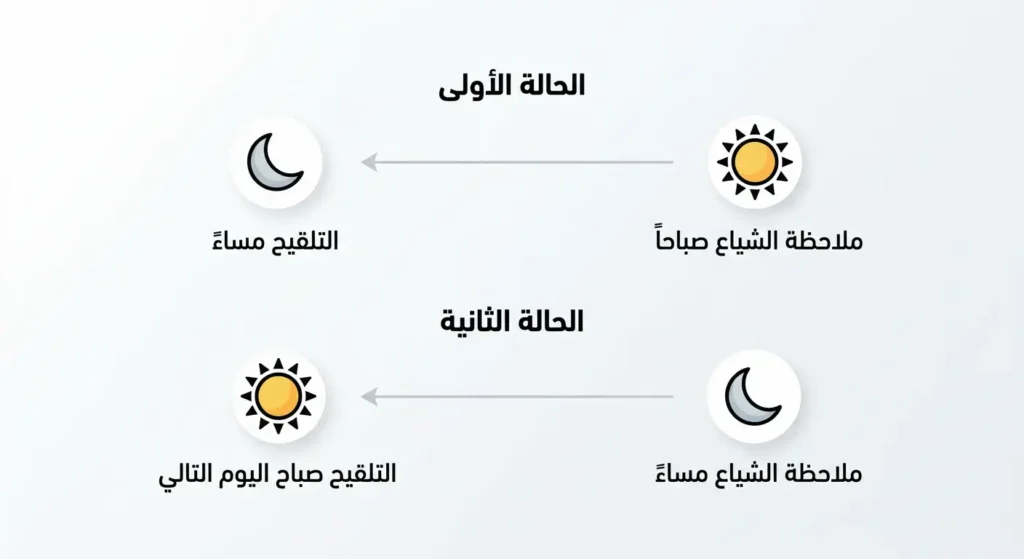 مخطط توضيحي لقاعدة الصباح والمساء لتحديد التوقيت الأمثل للتلقيح الاصطناعي في الأبقار
