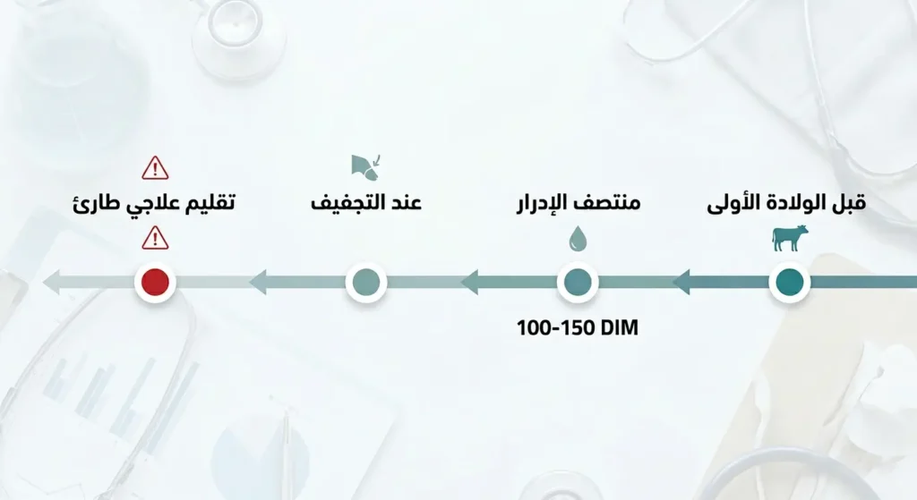 مخطط زمني يوضح أربع نقاط تدخل لتقليم حوافر الأبقار: قبل الولادة الأولى ومنتصف الإدرار وعند التجفيف والتقليم العلاجي الطارئ